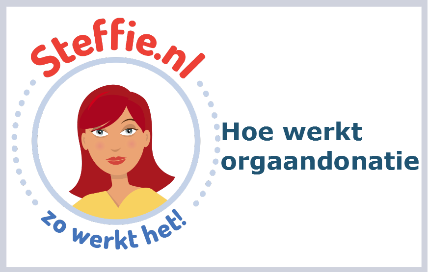 Steffie legt uit hoe orgaandonatie werkt. Externe link